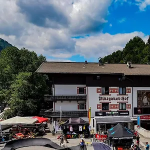 Pinzgauerhof - Inclusive Evening Dinner Hotel